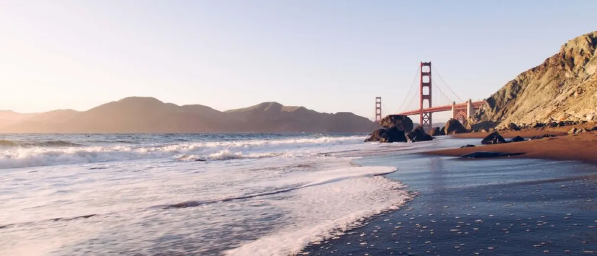 Image of San Invest services with a financial dashboard