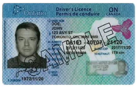 Screenshot of tenant dashboard with refined tab layout and data
